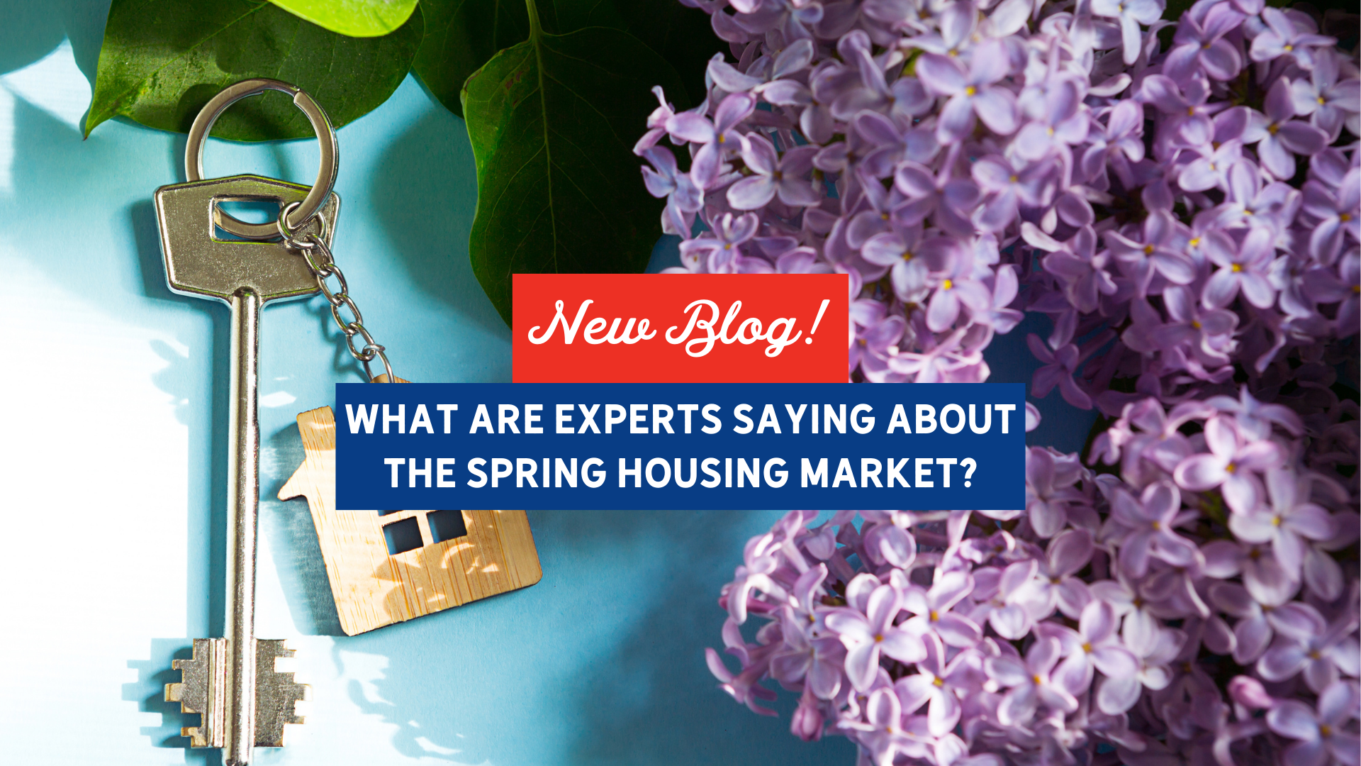 What Are Experts Saying About the Spring Housing Market?